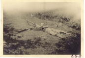 <h5>Combat</h5><p>German corpse with MG 42 machine gun. Note bullet hole in helmet. Photo provided by the family of Elmore Willets. </p>