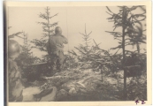 <h5>Combat</h5><p>Observation post #2 above Saar River looking into German and enemy lines. Photo provided by the family of Elmore Willets. </p>