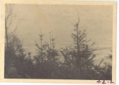 <h5>Combat</h5><p>Observation post #2 above Saar River looking into German and enemy lines. Photo provided by the family of Elmore Willets. </p>